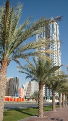 Эмираты в декабре: часть 3 -Прогулки по Шардже 