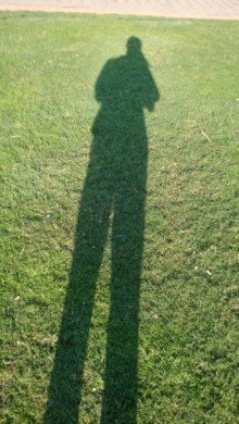 Эмираты в декабре: часть 3 -Прогулки по Шардже 