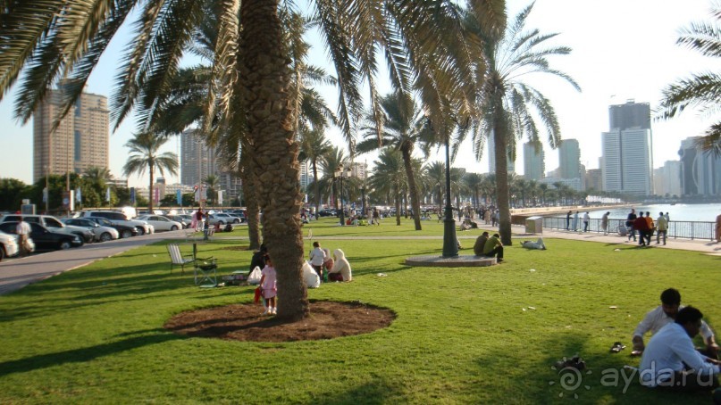 Эмираты в декабре: часть 3 -Прогулки по Шардже 