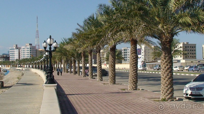 Эмираты в декабре: часть 3 -Прогулки по Шардже 