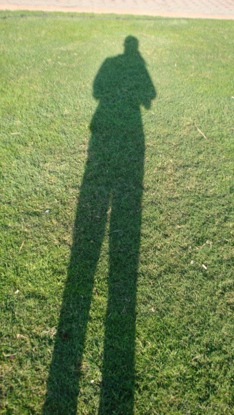 Эмираты в декабре: часть 3 -Прогулки по Шардже 