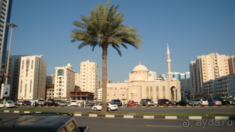 Эмираты в декабре: часть 3 -Прогулки по Шардже 