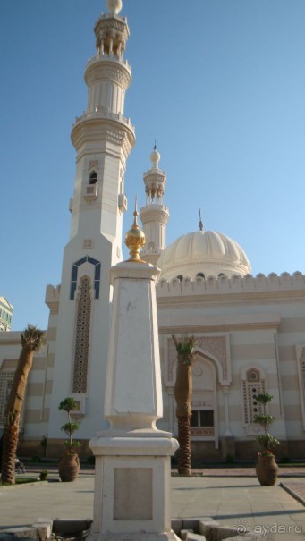 Эмираты в декабре: часть 3 -Прогулки по Шардже 