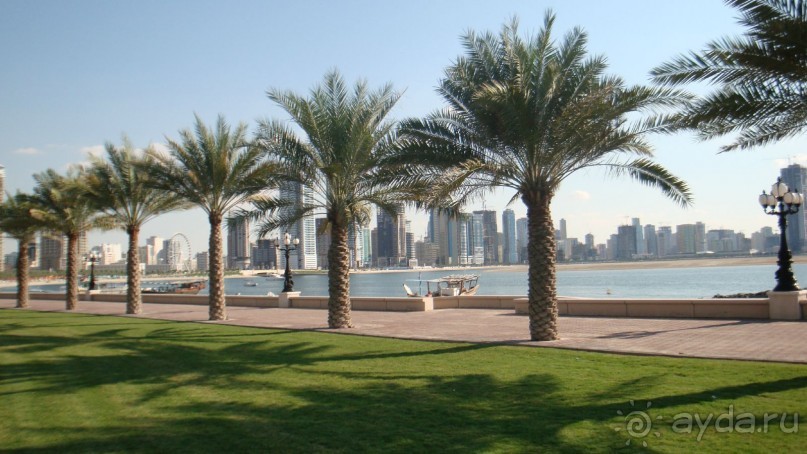 Эмираты в декабре: часть 3 -Прогулки по Шардже 