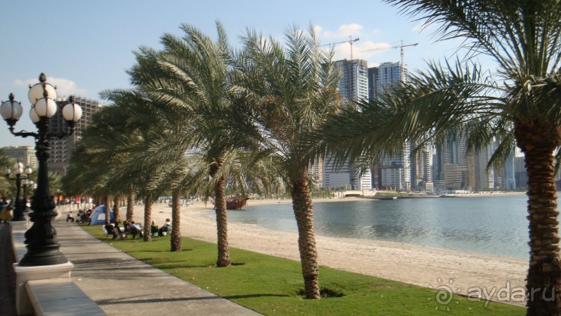 Эмираты в декабре: часть 3 -Прогулки по Шардже 