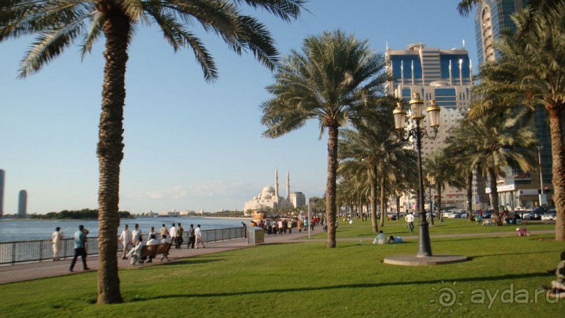 Эмираты в декабре: часть 3 -Прогулки по Шардже 