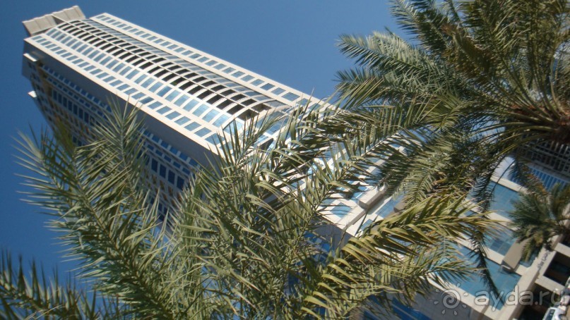 Эмираты в декабре: часть 3 -Прогулки по Шардже 