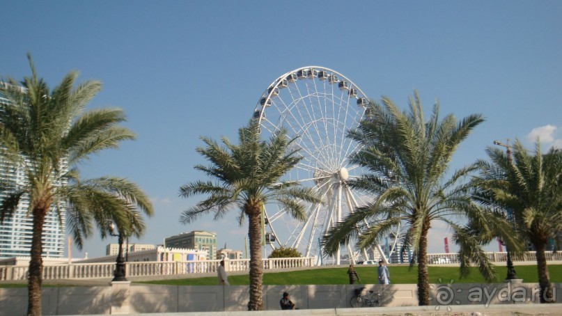 Эмираты в декабре: часть 3 -Прогулки по Шардже 