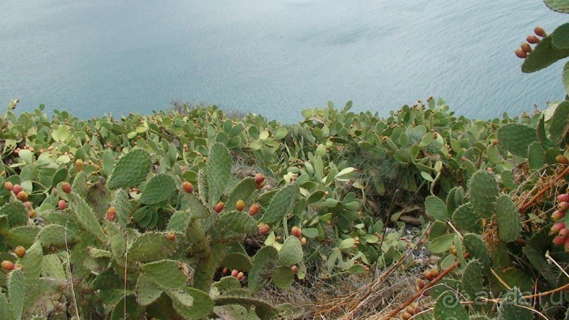 Греция часть 7: Нафплион, его крепости и форты