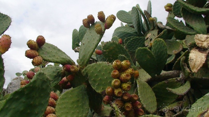 Греция часть 7: Нафплион, его крепости и форты