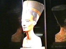 Впервые на машине в Германию с овчаркой: Берлин и обратная дорога домой