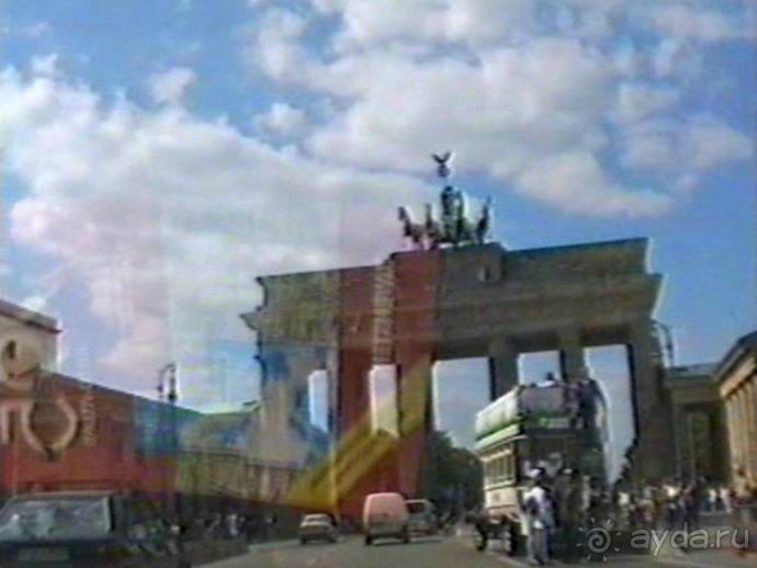 Впервые на машине в Германию с овчаркой: Берлин и обратная дорога домой