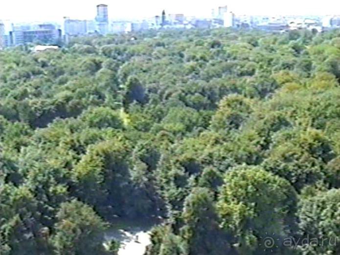 Впервые на машине в Германию с овчаркой: Берлин и обратная дорога домой