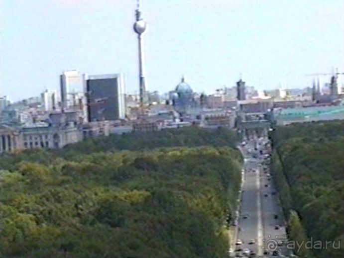 Впервые на машине в Германию с овчаркой: Берлин и обратная дорога домой