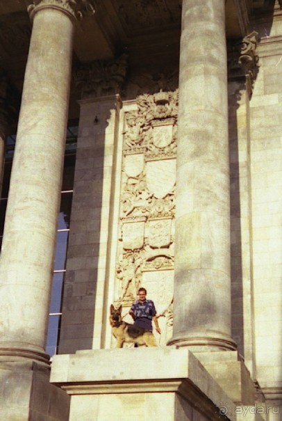 Впервые на машине в Германию с овчаркой: Берлин и обратная дорога домой