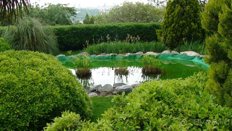 По следам Древних Цивилизаций в Турции: Прогулки по Стамбулу 