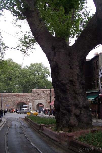 По следам Древних Цивилизаций в Турции: Прогулки по Стамбулу 