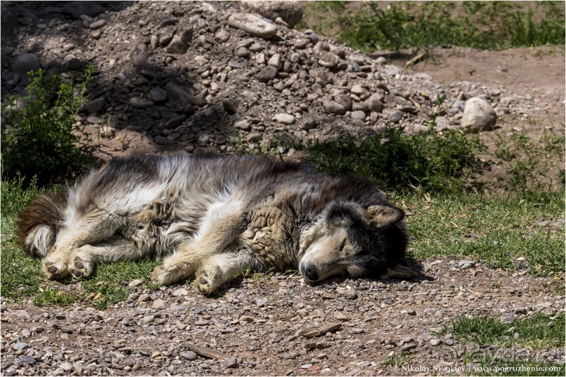 Пережить Анды (Malargüe, Argentina)