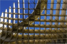 По грибам в Севилье (Seville, Spain)