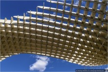 По грибам в Севилье (Seville, Spain)