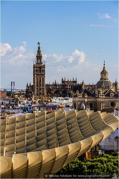 По грибам в Севилье (Seville, Spain)