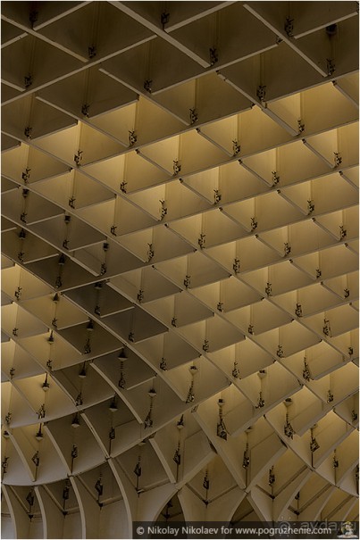 По грибам в Севилье (Seville, Spain)