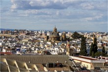 По грибам в Севилье (Seville, Spain)