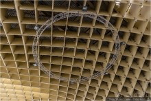 По грибам в Севилье (Seville, Spain)