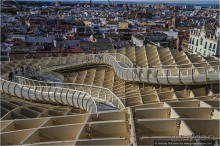 По грибам в Севилье (Seville, Spain)