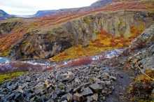 «Открытие Исландии» часть 14: Самый высокий водопад (Glymur, Iceland)