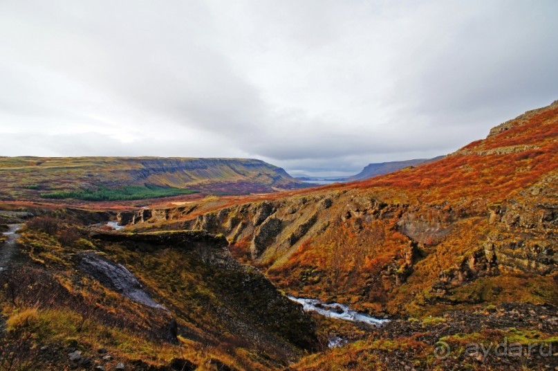 «Открытие Исландии» часть 14: Самый высокий водопад (Glymur, Iceland)