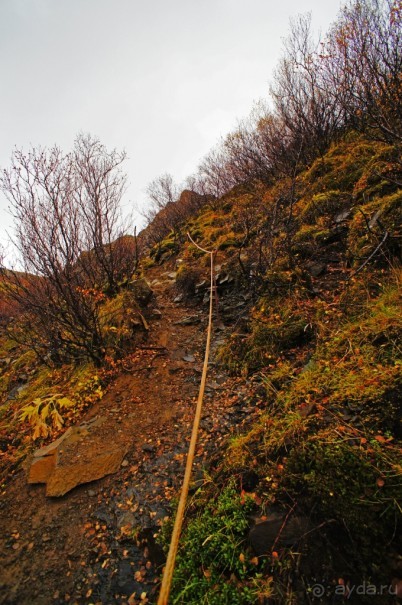 «Открытие Исландии» часть 14: Самый высокий водопад (Glymur, Iceland)