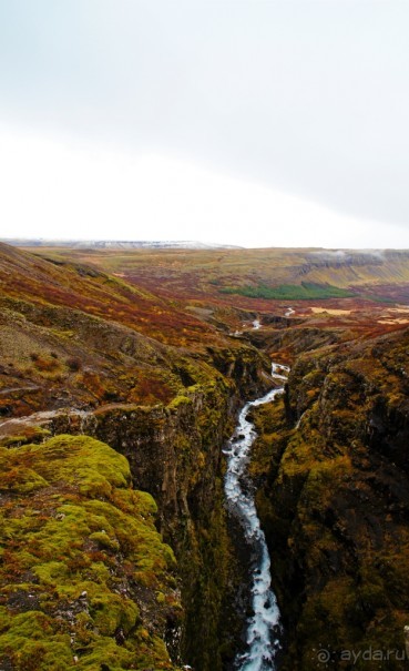 «Открытие Исландии» часть 14: Самый высокий водопад (Glymur, Iceland)