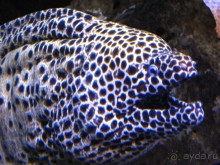 Город у Бискайского залива (Gijon, Spain)