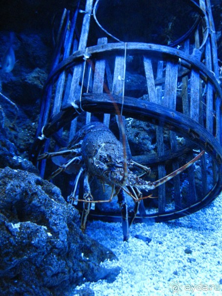 Город у Бискайского залива (Gijon, Spain)