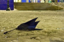 Наедине с Венецией (Venice, Italy)