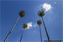 Южная соблазнительница Севилья (Seville, Spain)