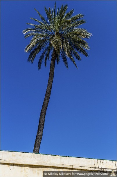 Южная соблазнительница Севилья (Seville, Spain)