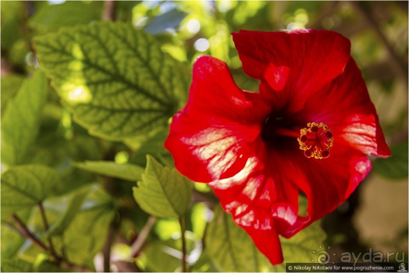 Южная соблазнительница Севилья (Seville, Spain)