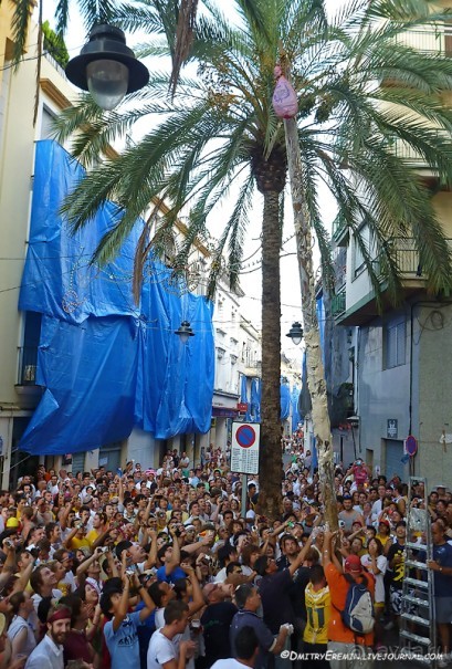 Ла Томатина: не помылишь — не залезешь! (Bunol, Spain)