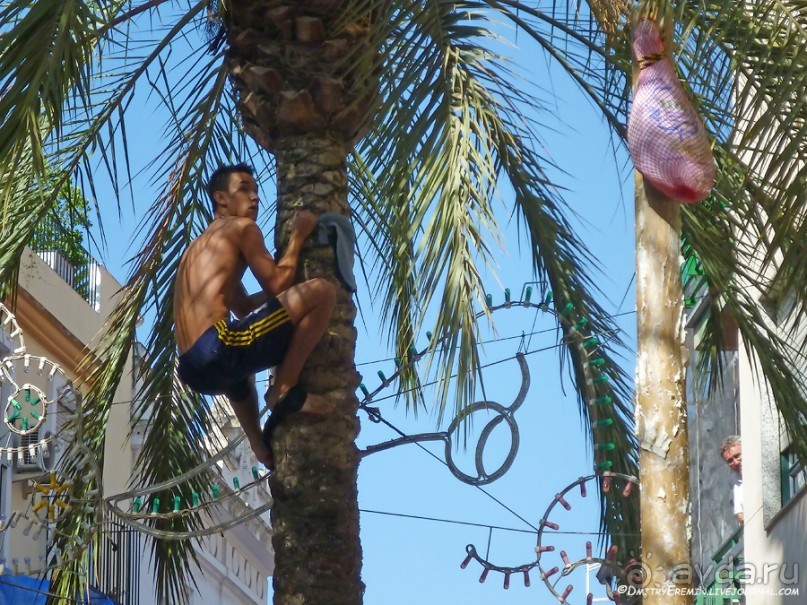 Ла Томатина: не помылишь — не залезешь! (Bunol, Spain)