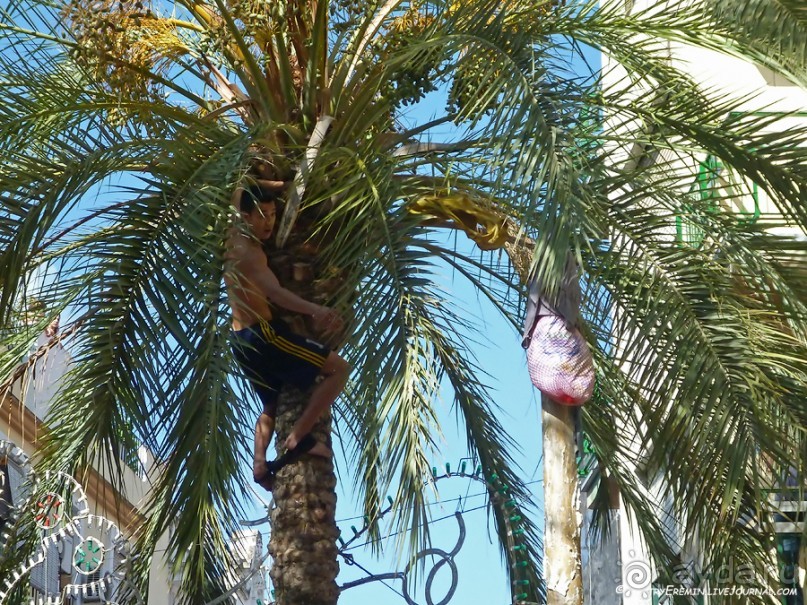 Ла Томатина: не помылишь — не залезешь! (Bunol, Spain)