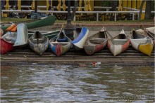 Тигре: аргентинская Венеция (Tigre, Argentina)