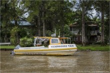 Тигре: аргентинская Венеция (Tigre, Argentina)