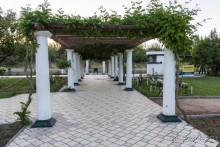 Мендоса — город-оазис (Mendoza, Argentina)