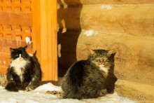 Крещение Хаммера: Гремячий ключ (Gremyachiy klyuch, Russia)