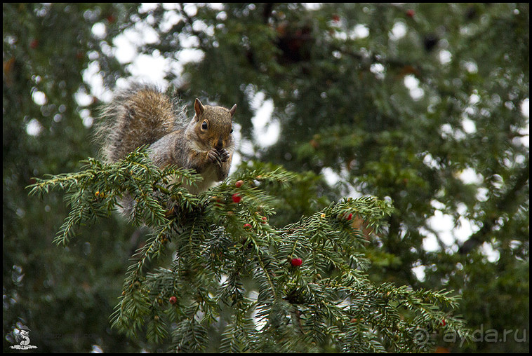 Осенний Лестер (Leicester, England)