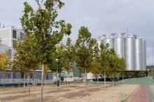 Необычная архитектура Мадрида (Madrid, Spain)