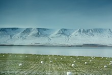 «Открытие Исландии» часть 12: О, Боже! Водопад!… и Столица севера (Godafoss, Akureyri, Iceland)