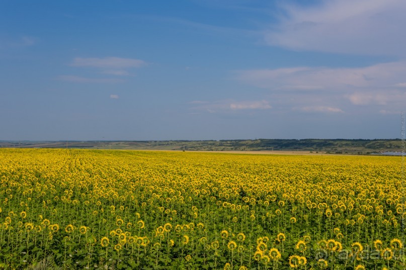 Эльбрус, часть 7: Дорога домой (Elbrus, Russia)